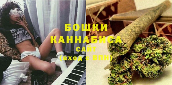 ECSTASY Вяземский