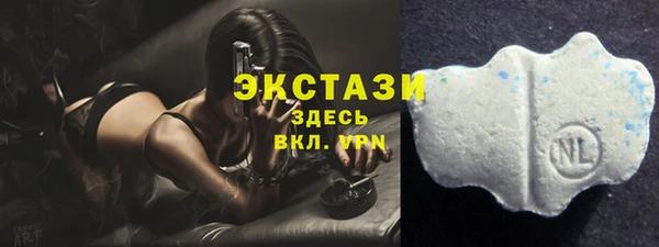 ECSTASY Вяземский
