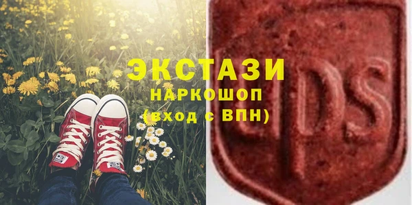 ECSTASY Вяземский