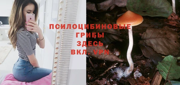 ECSTASY Вяземский