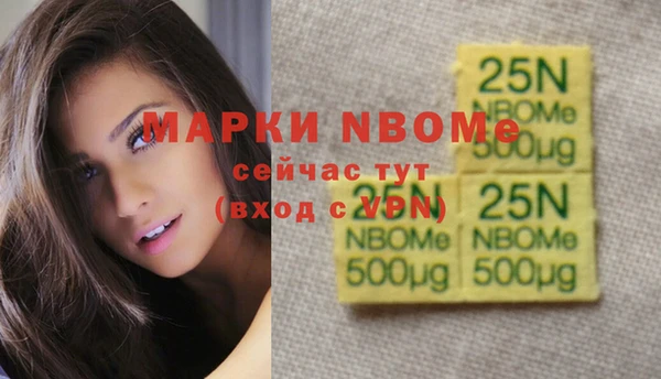 ECSTASY Вяземский