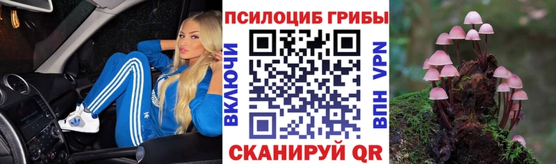 Галлюциногенные грибы ЛСД Купить Курлово